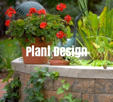 plant-design-landscaping-services-in-grand-rapids-michigan